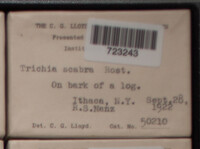 Image Associated With the Occurence